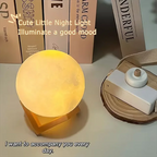 Luminária Lua Cheia